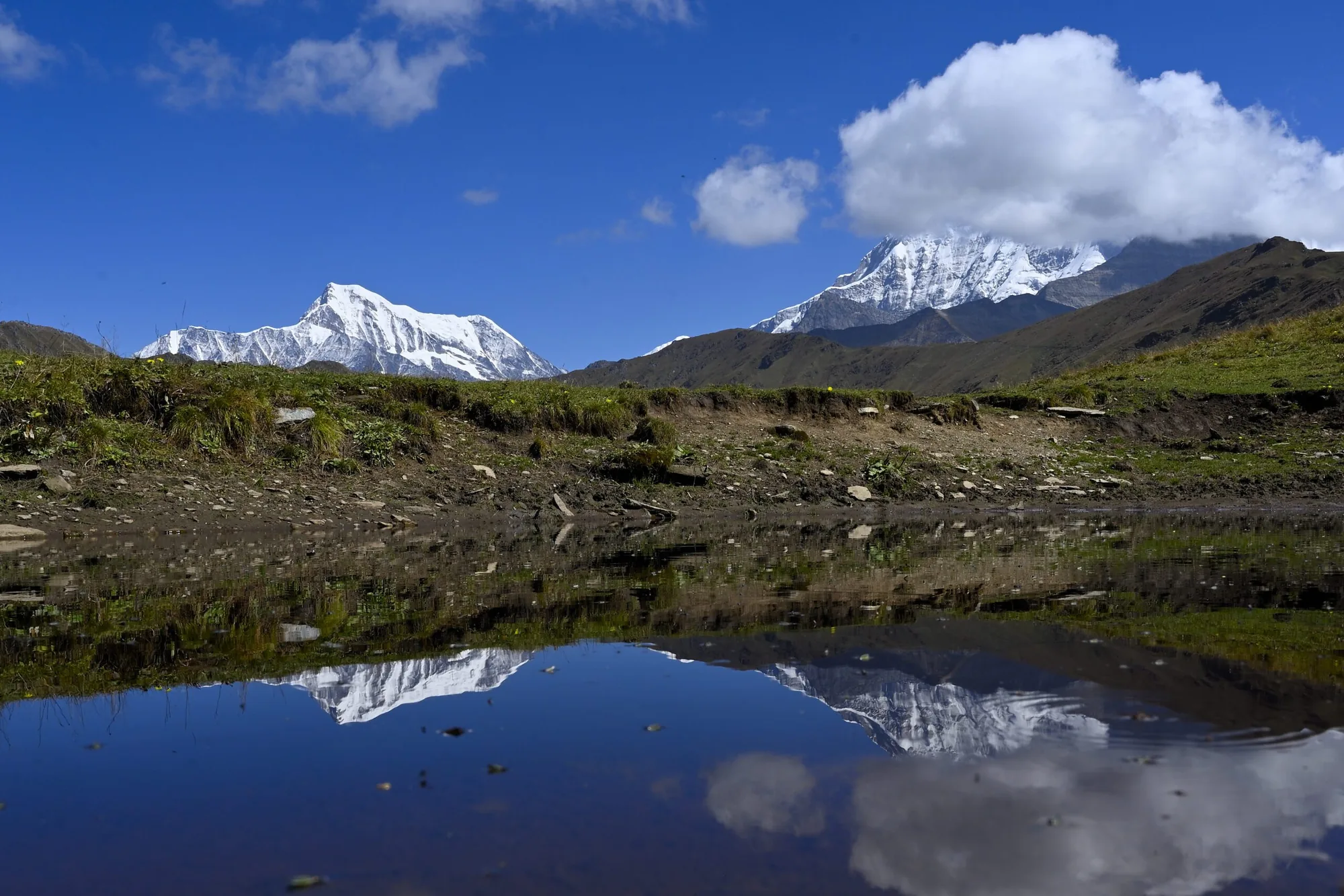 Ali Bedni Bugyal Trek trek in the Himalayas by Himalaya Shelter