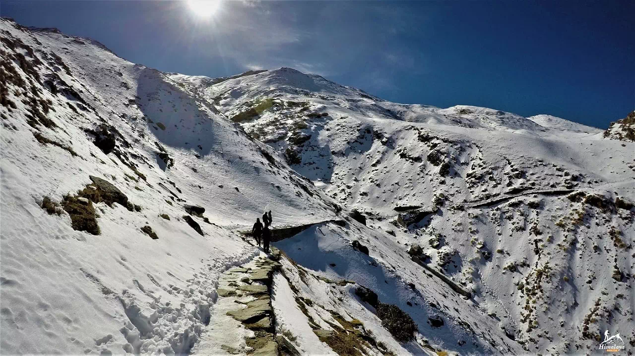 https://www.himalayashelter.com/trek/kuari-pass-trek/