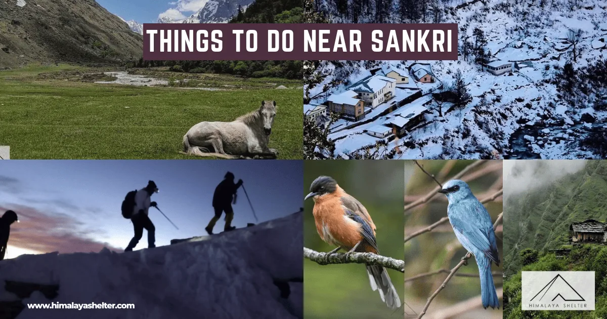 Things To Do Near At Sankri: Abode to outdoor activities