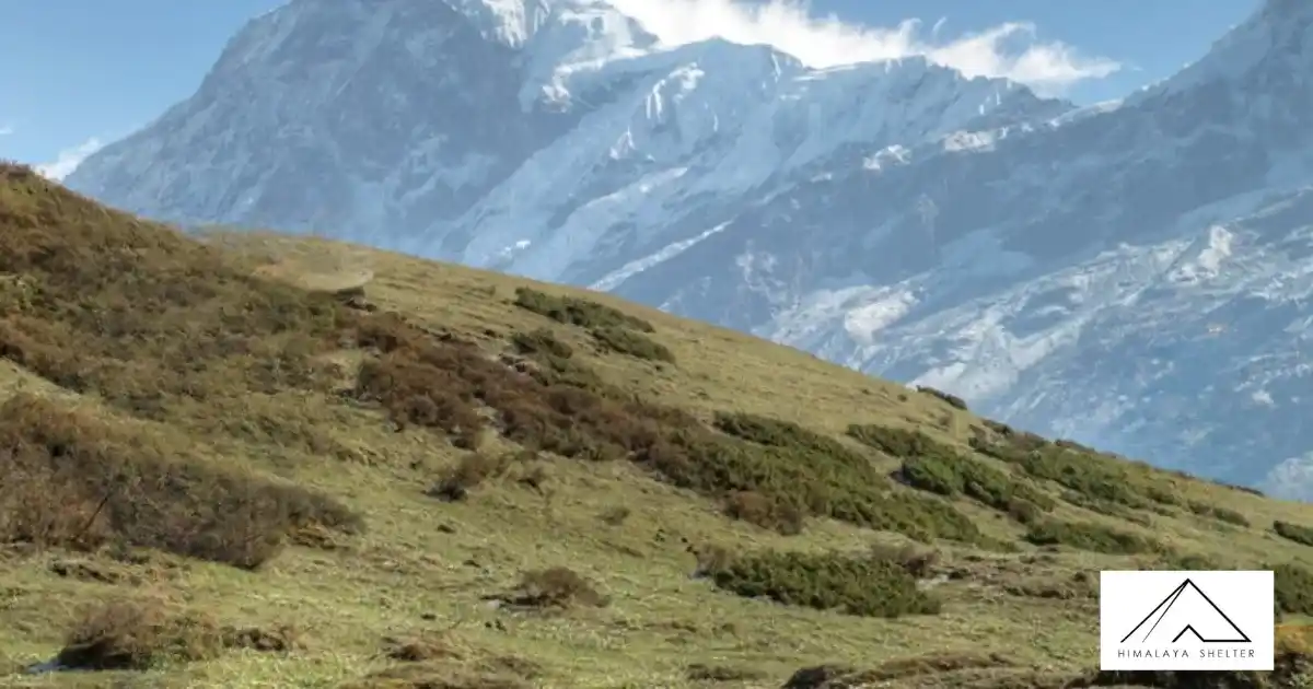 Dzongri Trek