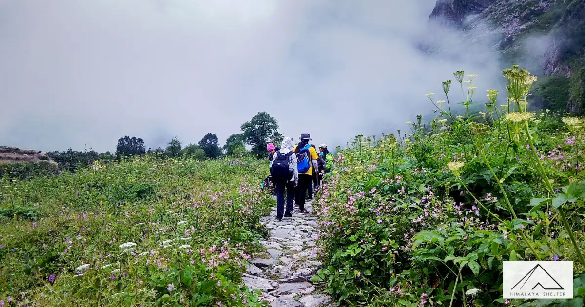 Trekkers In The Valley