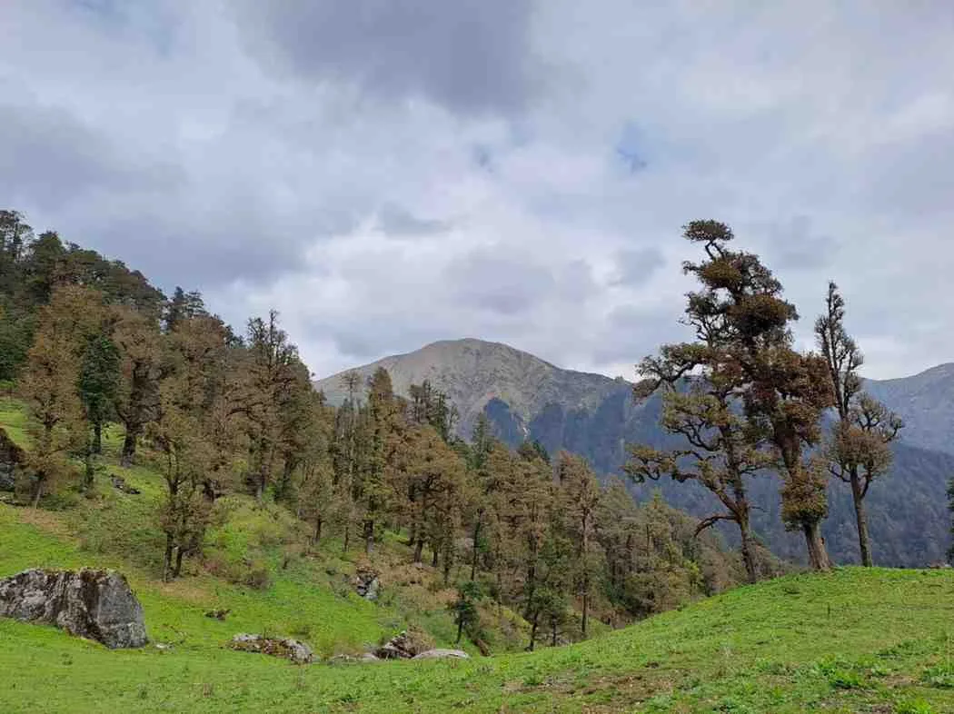 Pindari Glacier Trek trek in the Himalayas by Himalaya Shelter