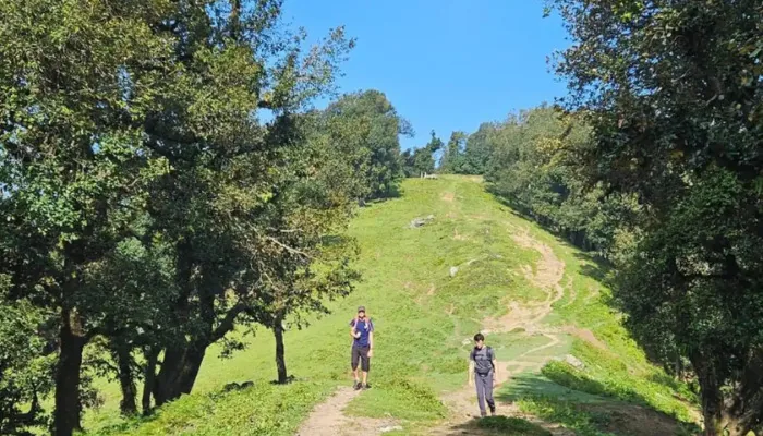 Nag Tibba Trek A Short Himalayan Journey: Filled with warmth, culture, and quiet trails