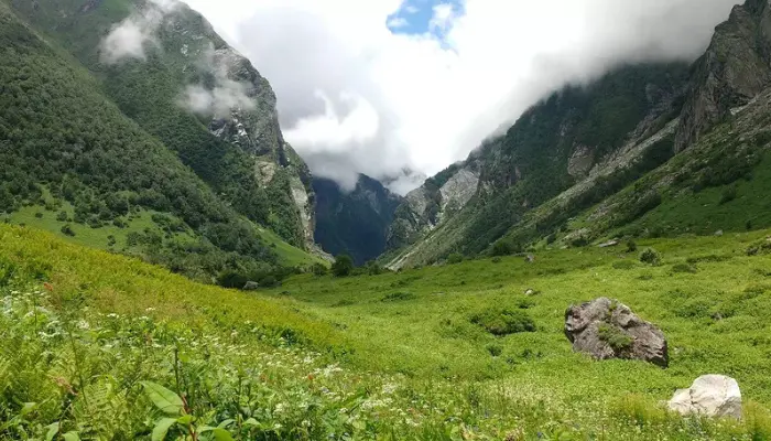 Valley of Flowers—A UNESCO World Heritage Site
