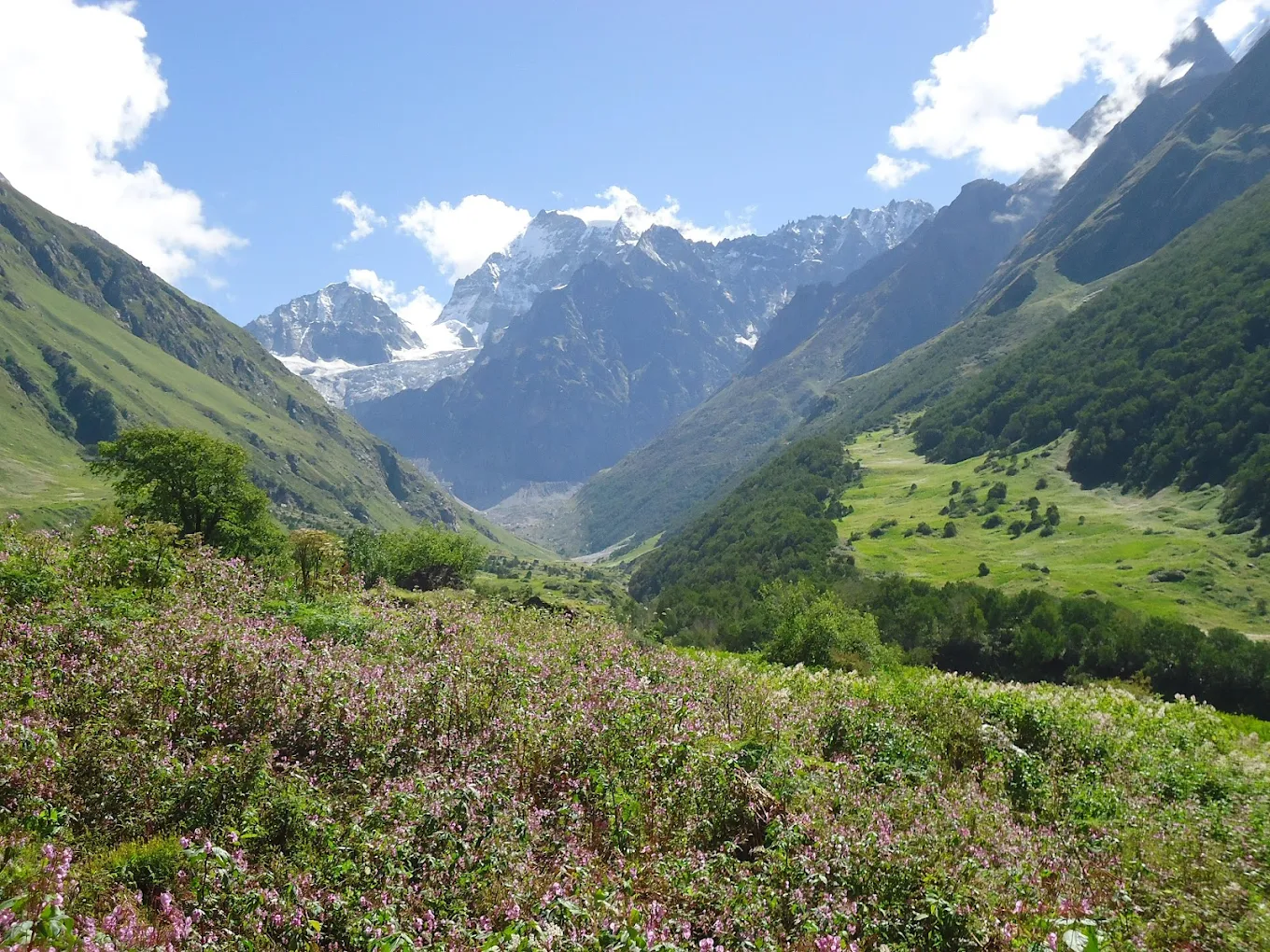 Nanda Devi National Park Uttarakhand: How to reach, best time to visit