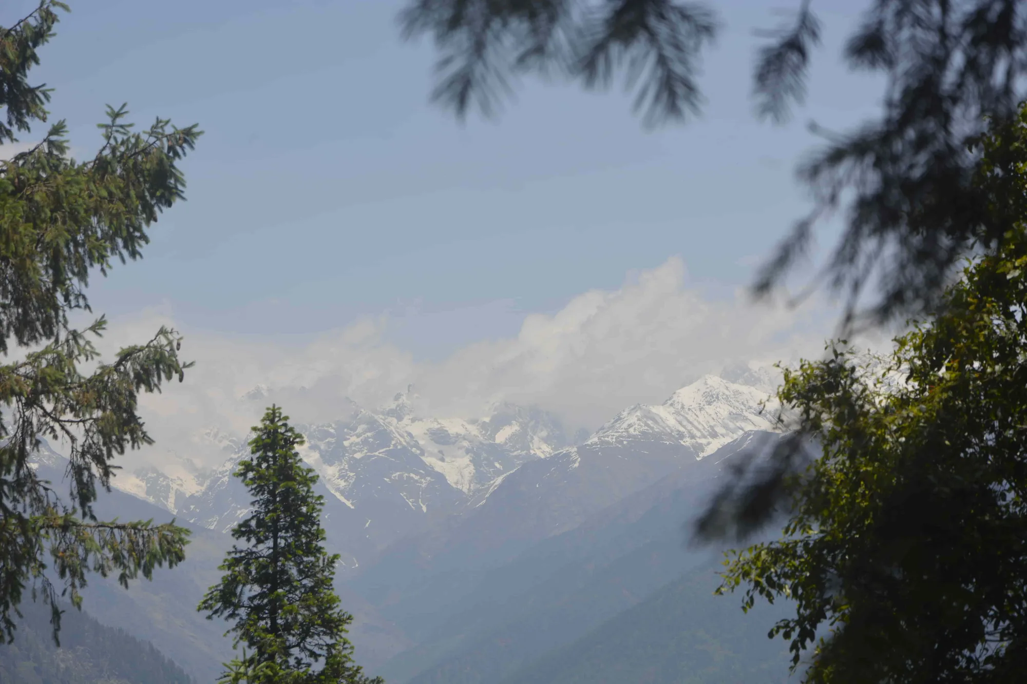 phulara ridge trek