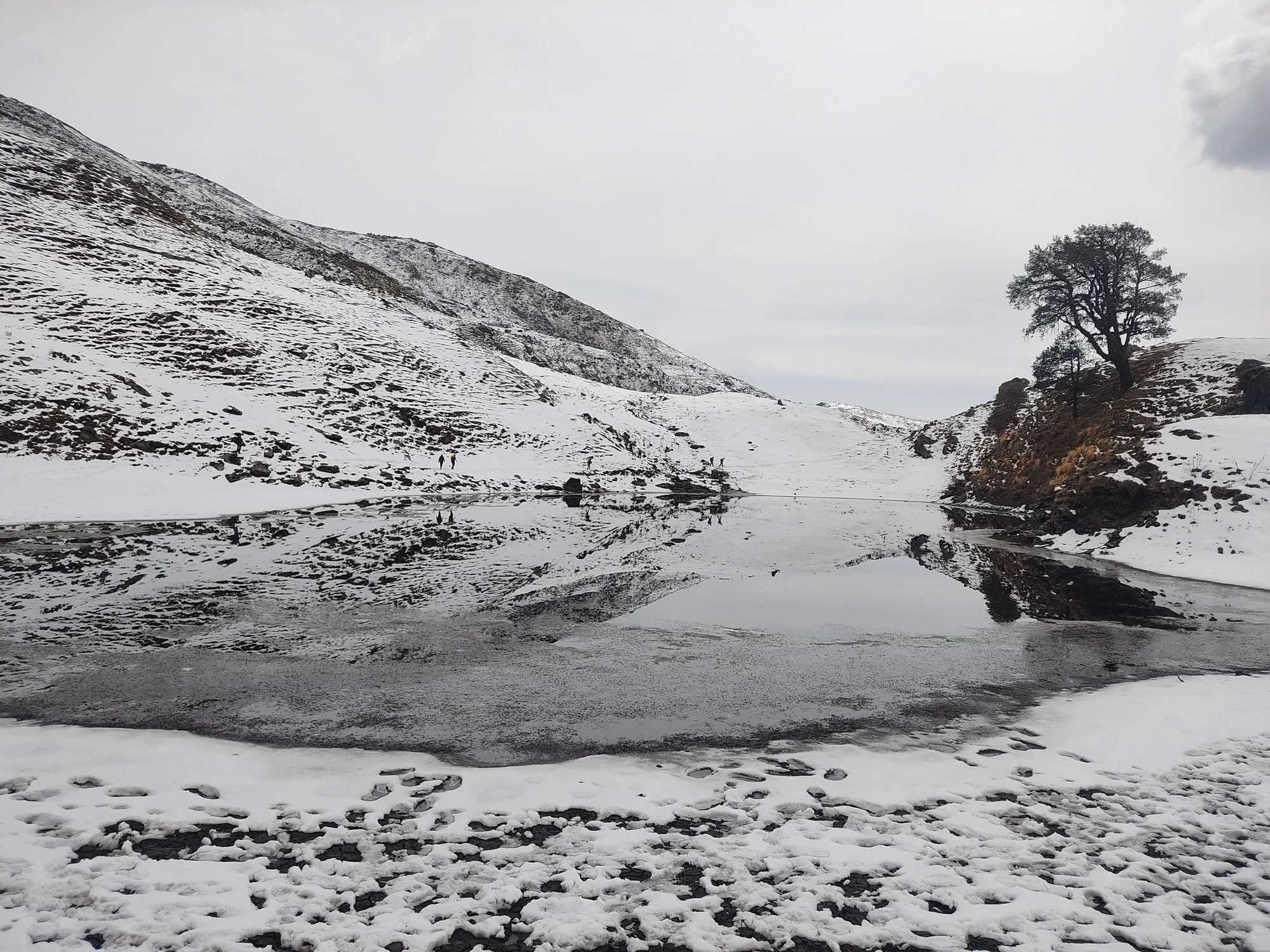Brahmatal Trek trek in the Himalayas by Himalaya Shelter