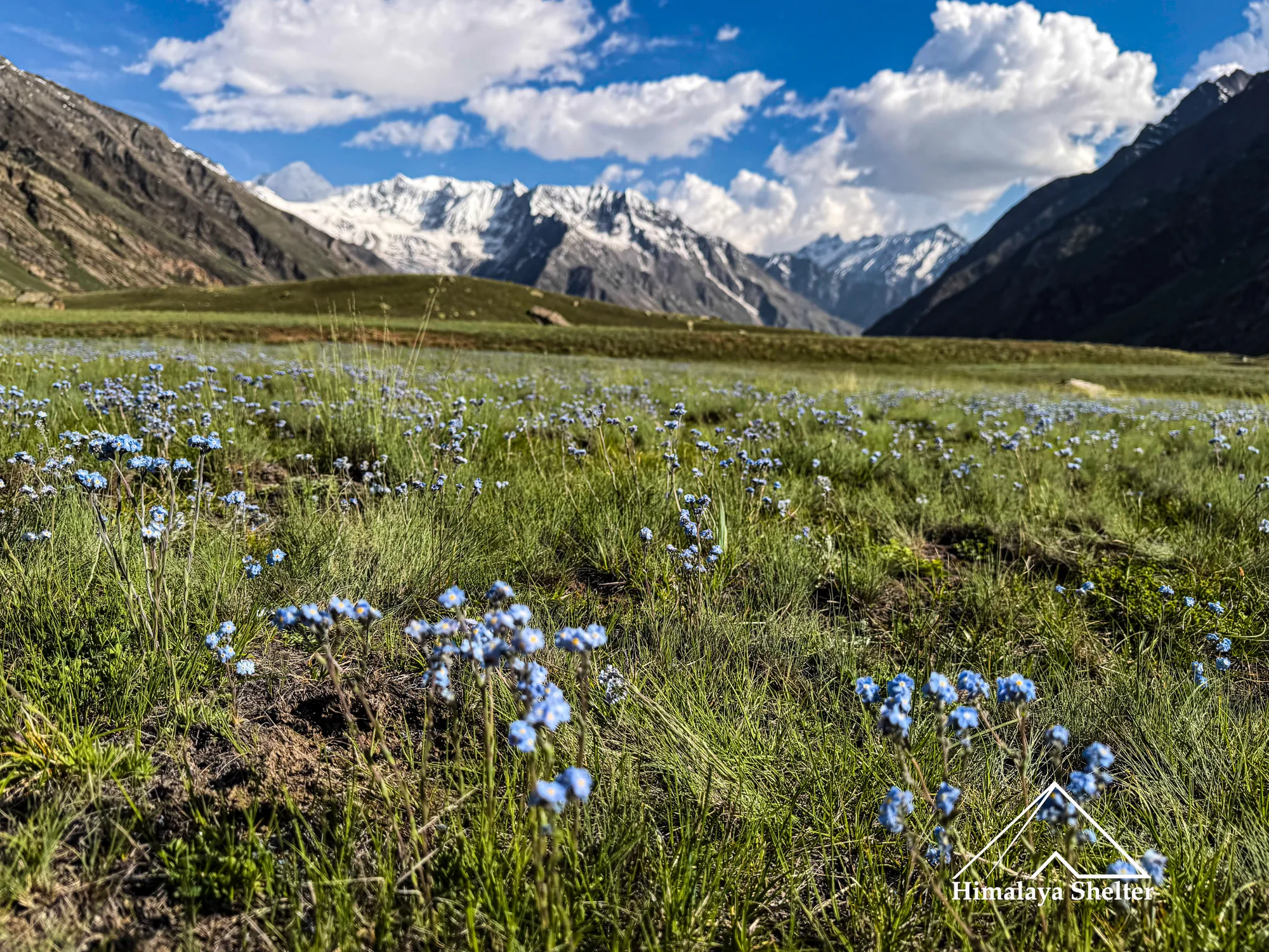Miyar Valley Trek