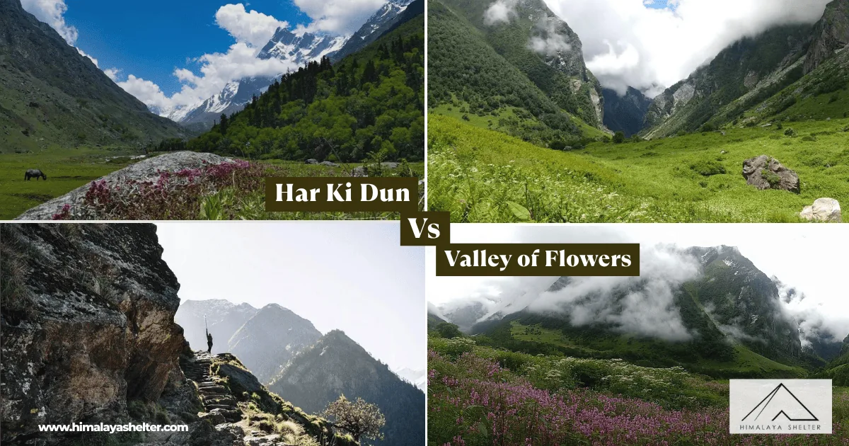 Har Ki Dun Vs Valley of Flowers: Explore valleys of uttarakhand