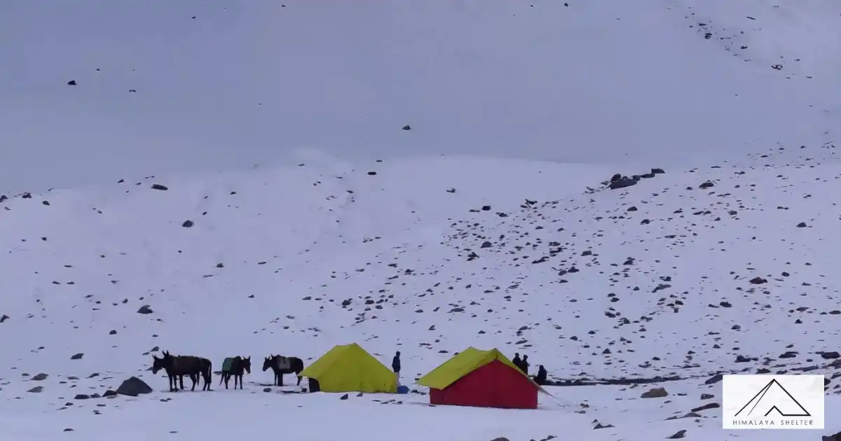 Bali Pass Campsite 
