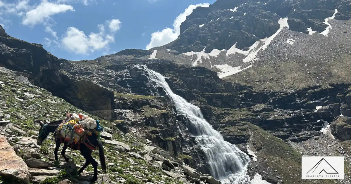 Rupin Pass Trek