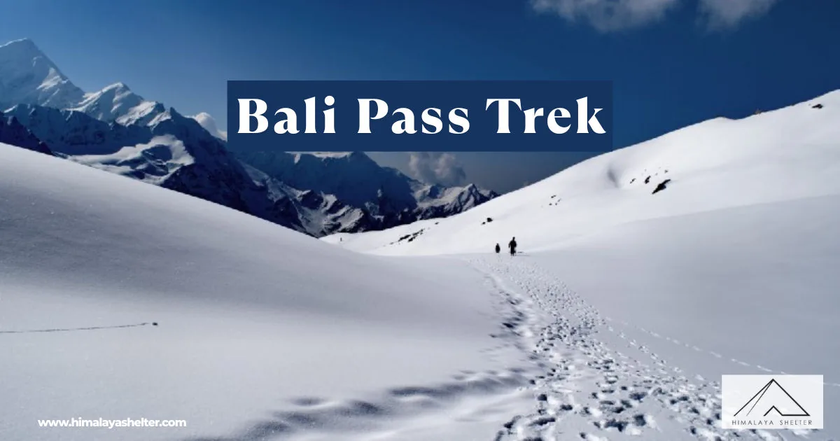 Balipasstrek: A thrilling himalayan adventure