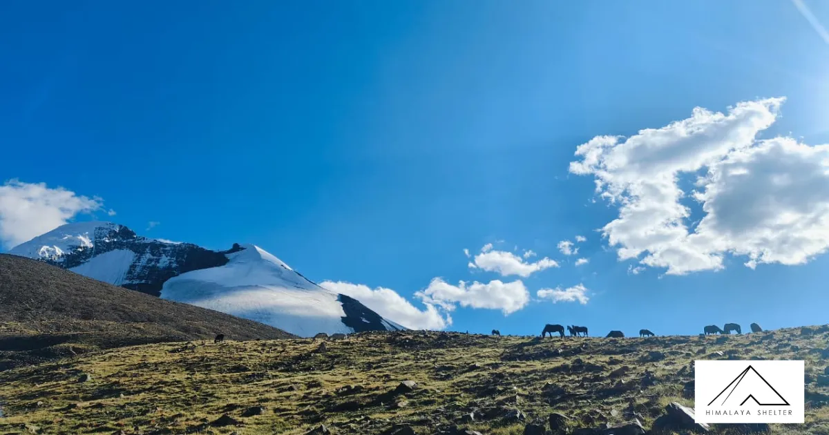 Kang Yatse Trek