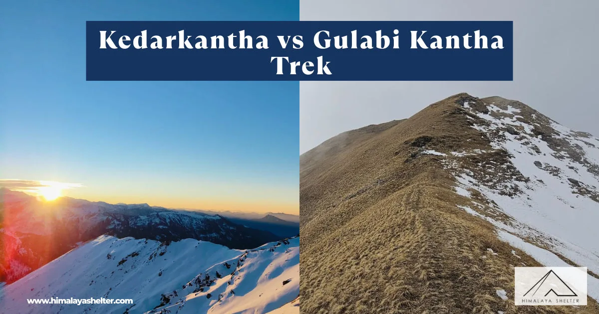 Kedarkantha vs Gulabi Kantha trek: A complete comparison for trekkers