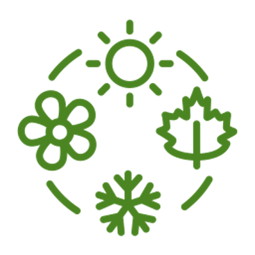 Season icon